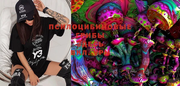 Альфа ПВП Алексин