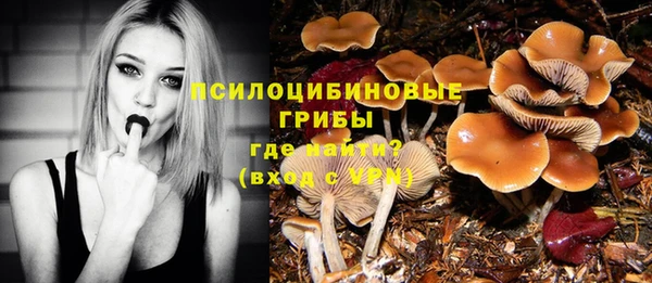 гашик Алзамай