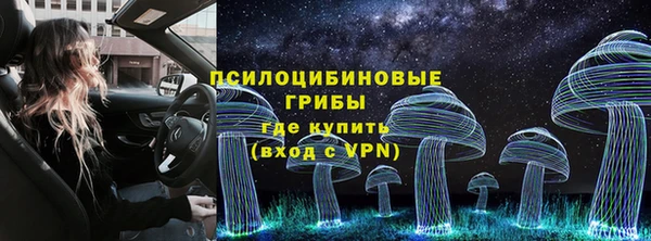 Альфа ПВП Алексин