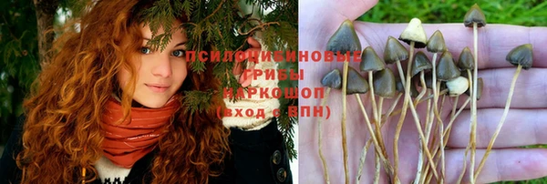 гашик Алзамай