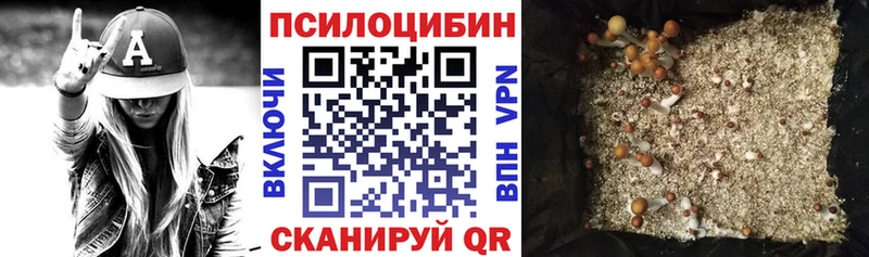 блэк спрут ссылка  купить   Изобильный  Галлюциногенные грибы Psilocybine cubensis 